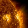 m5flare